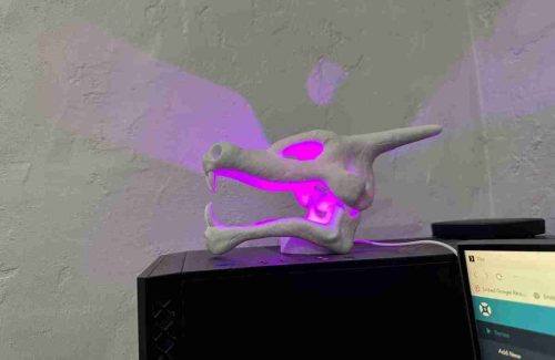 Charizard Skull Light